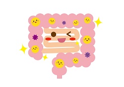腸の健康